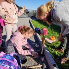 Hradiště Branišovice