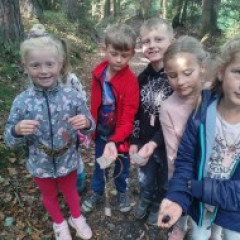 Hradiště Branišovice